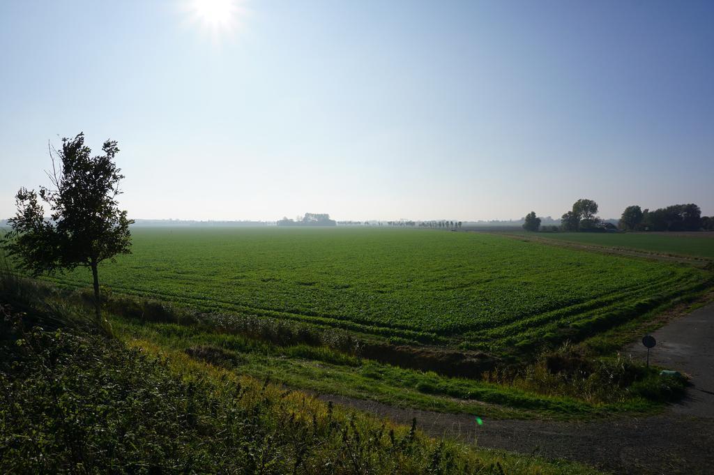 Herberg De Ring Dreischor Exterior photo